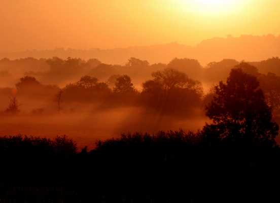 ../Images/10 img_0390 misty.jpg